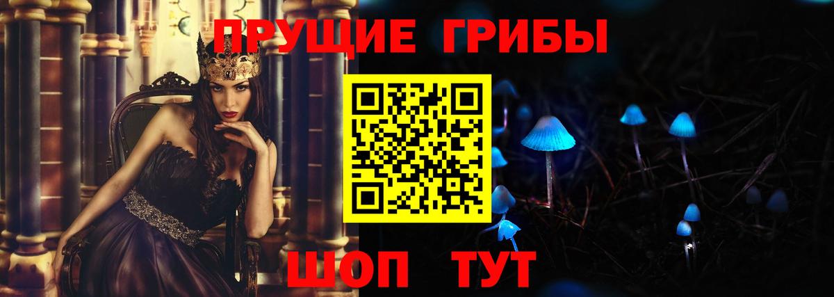 Псилоцибиновые грибы Psilocybine cubensis Рославль